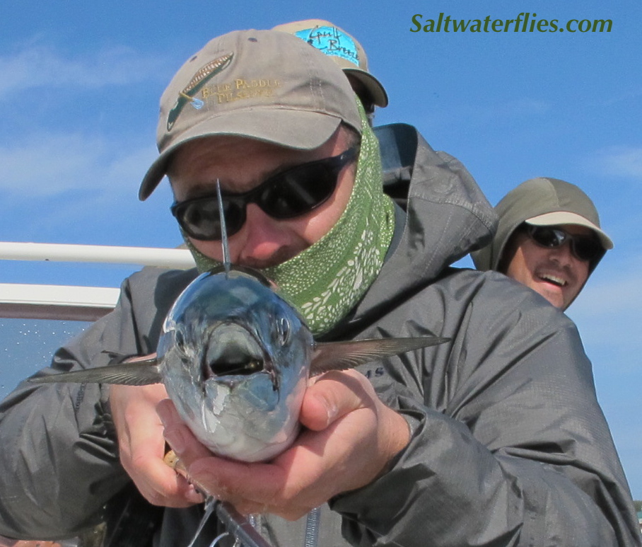 Albie on Anchovy fly!