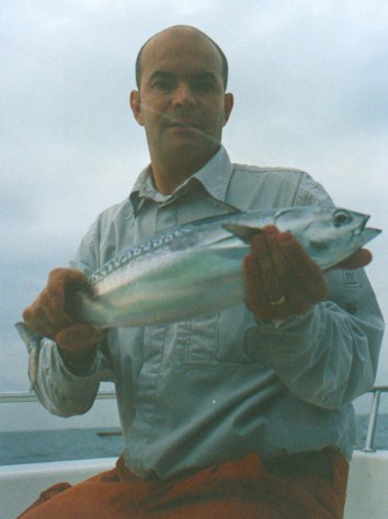 Bullet Tuna on flyrod!