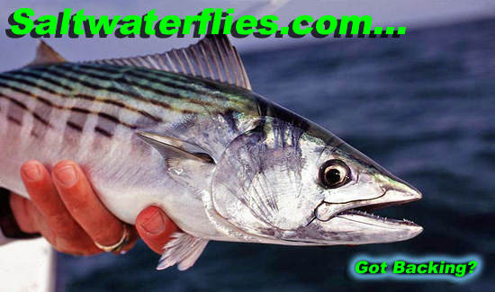 Saltwaterflies.com!