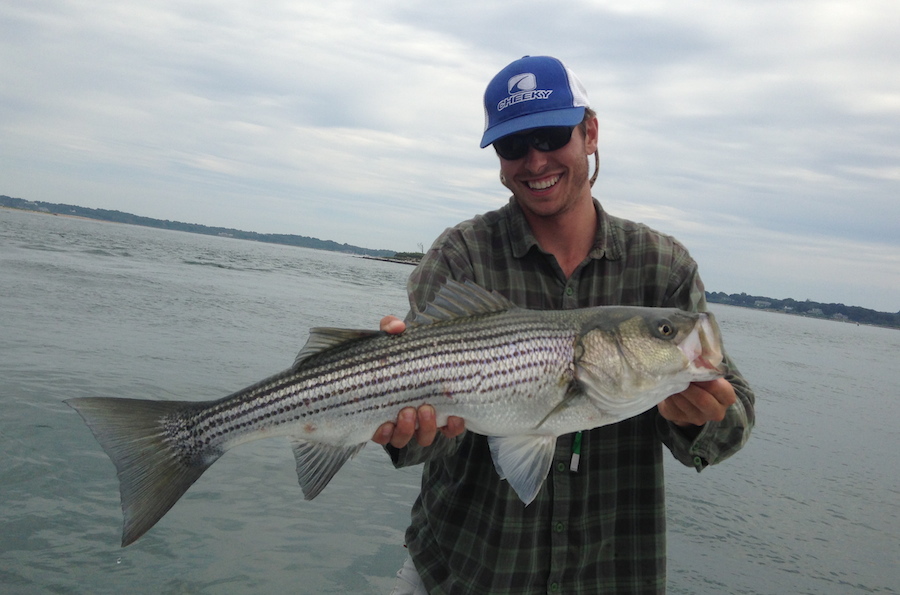 Another Nice Striper!